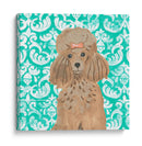 Paroro Poochees Ii - June Erica Vess | Cuadro decorativo de Canvas Lab