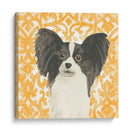 Paroro Pooches Iii - June Erica Vess | Cuadro decorativo de Canvas Lab