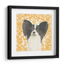 Paroro Pooches Iii - June Erica Vess | Cuadro decorativo de Canvas Lab