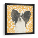 Paroro Pooches Iii - June Erica Vess | Cuadro decorativo de Canvas Lab