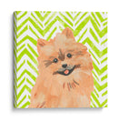 Paroro Pooches Iv - June Erica Vess | Cuadro decorativo de Canvas Lab