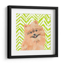 Paroro Pooches Iv - June Erica Vess | Cuadro decorativo de Canvas Lab