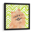 Paroro Pooches Iv - June Erica Vess | Cuadro decorativo de Canvas Lab