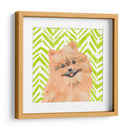 Paroro Pooches Iv - June Erica Vess | Cuadro decorativo de Canvas Lab