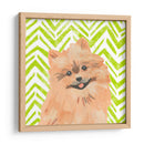 Paroro Pooches Iv - June Erica Vess | Cuadro decorativo de Canvas Lab