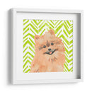 Paroro Pooches Iv - June Erica Vess | Cuadro decorativo de Canvas Lab