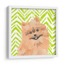 Paroro Pooches Iv - June Erica Vess | Cuadro decorativo de Canvas Lab