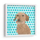 Paroro Pooches Vi - June Erica Vess | Cuadro decorativo de Canvas Lab