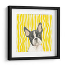 Paroro Poochees Viii - June Erica Vess | Cuadro decorativo de Canvas Lab