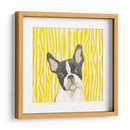 Paroro Poochees Viii - June Erica Vess | Cuadro decorativo de Canvas Lab