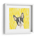 Paroro Poochees Viii - June Erica Vess | Cuadro decorativo de Canvas Lab