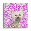 Paroro Poochees Ix - June Erica Vess | Cuadro decorativo de Canvas Lab