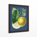 Limón Francés En La Marina I - A. Risso | Cuadro decorativo de Canvas Lab
