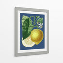 Limón Francés En La Marina I - A. Risso | Cuadro decorativo de Canvas Lab