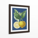 Limón Francés En La Marina Ii - A. Risso | Cuadro decorativo de Canvas Lab