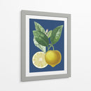 Limón Francés En La Marina Ii - A. Risso | Cuadro decorativo de Canvas Lab
