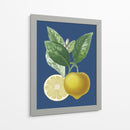 Limón Francés En La Marina Ii - A. Risso | Cuadro decorativo de Canvas Lab