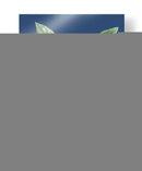 Limón Francés En La Marina Ii - A. Risso | Cuadro decorativo de Canvas Lab