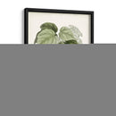 Sage Botanical Iii - Vision Studio | Cuadro decorativo de Canvas Lab