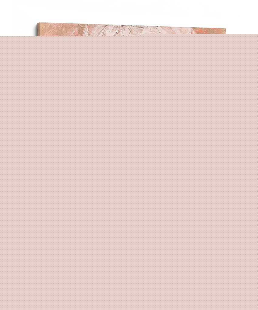 Rosa Vintage - Erin Ashley | Cuadro decorativo de Canvas Lab