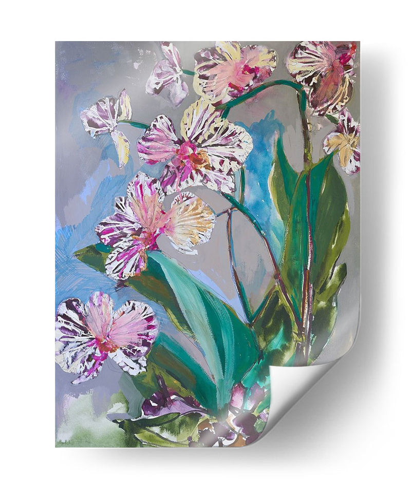 Flores De Primavera De Maine I - Erin McGee Ferrell | Cuadro decorativo de Canvas Lab