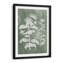 Sage Impressions Iii - Vision Studio | Cuadro decorativo de Canvas Lab