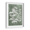 Sage Impressions Iii - Vision Studio | Cuadro decorativo de Canvas Lab