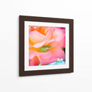 Un sapito cómodo | Cuadro decorativo de Canvas Lab
