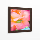 Un sapito cómodo | Cuadro decorativo de Canvas Lab