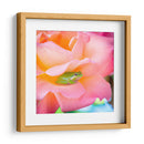 Un sapito cómodo | Cuadro decorativo de Canvas Lab