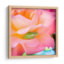 Un sapito cómodo | Cuadro decorativo de Canvas Lab