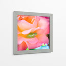 Un sapito cómodo | Cuadro decorativo de Canvas Lab