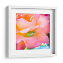 Un sapito cómodo | Cuadro decorativo de Canvas Lab