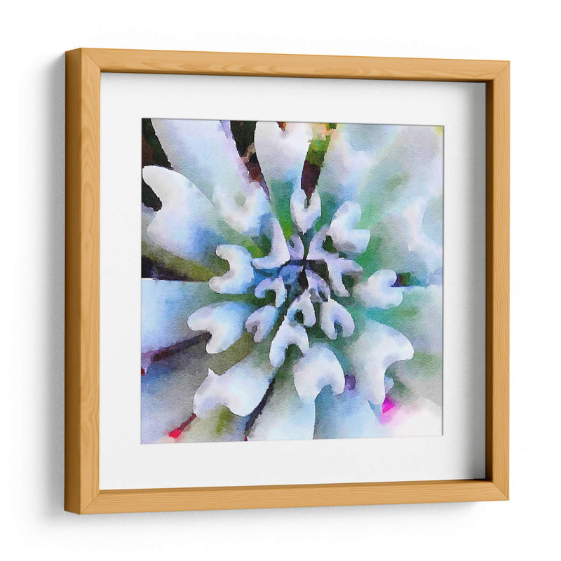 Succulente I - Jennifer Paxton Parker | Cuadro decorativo de Canvas Lab