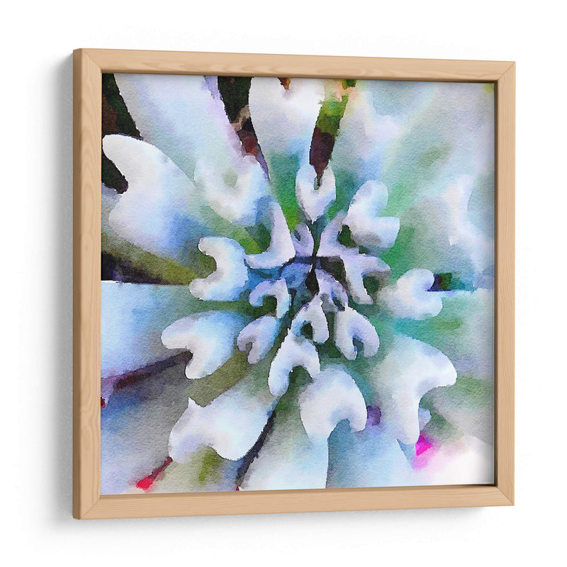 Succulente I - Jennifer Paxton Parker | Cuadro decorativo de Canvas Lab