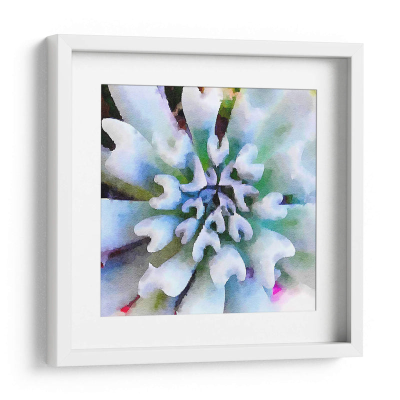 Succulente I - Jennifer Paxton Parker | Cuadro decorativo de Canvas Lab