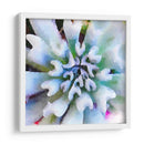 Succulente I - Jennifer Paxton Parker | Cuadro decorativo de Canvas Lab