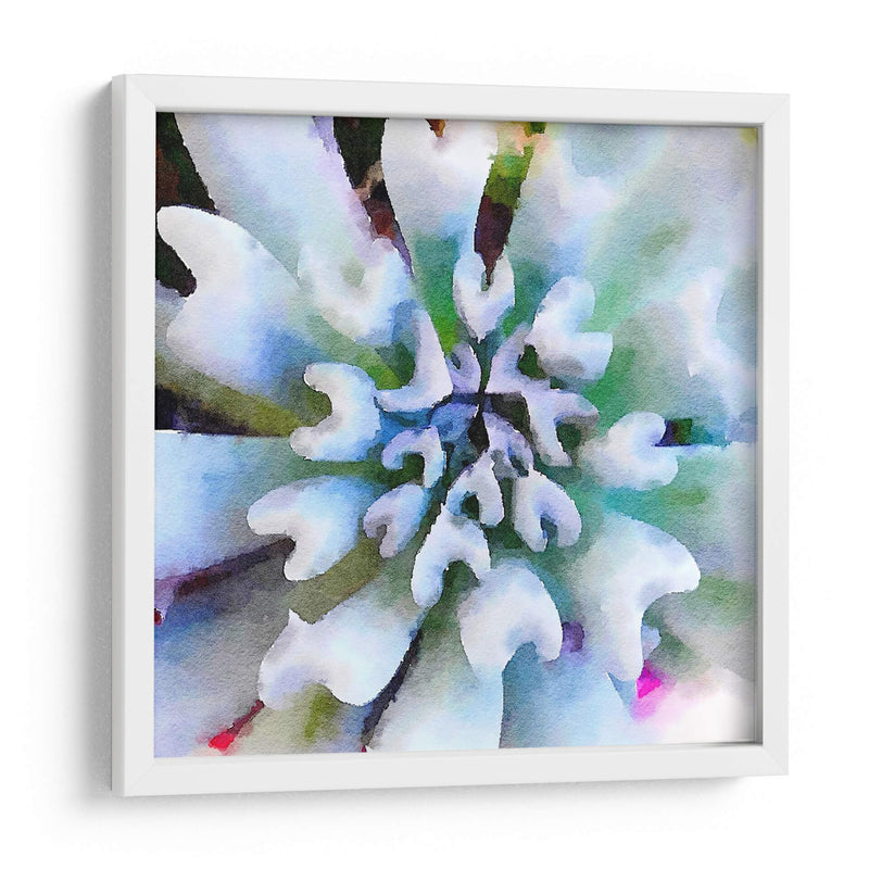 Succulente I - Jennifer Paxton Parker | Cuadro decorativo de Canvas Lab