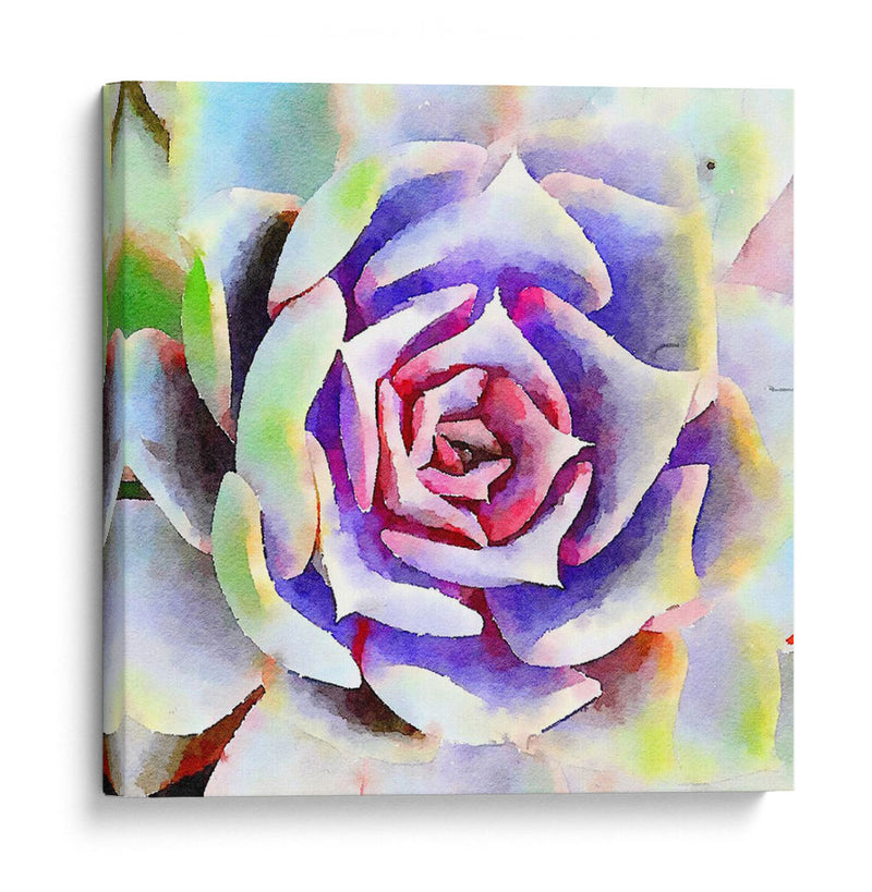 Succulente Ii - Jennifer Paxton Parker | Cuadro decorativo de Canvas Lab