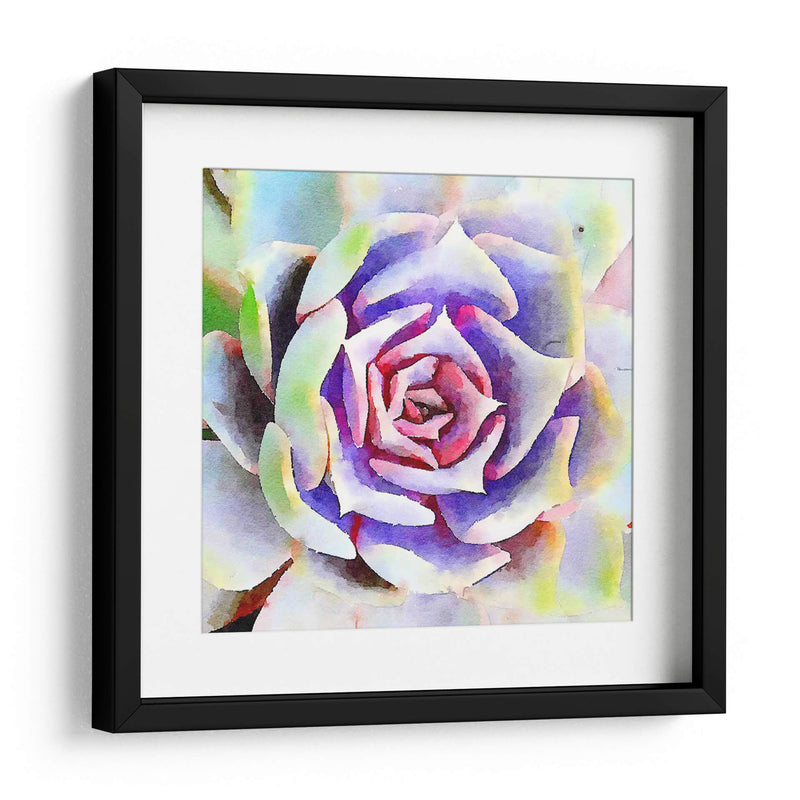 Succulente Ii - Jennifer Paxton Parker | Cuadro decorativo de Canvas Lab