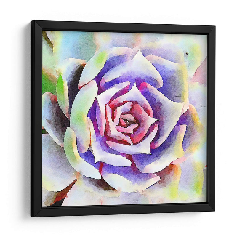 Succulente Ii - Jennifer Paxton Parker | Cuadro decorativo de Canvas Lab