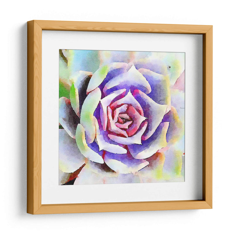 Succulente Ii - Jennifer Paxton Parker | Cuadro decorativo de Canvas Lab