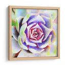 Succulente Ii - Jennifer Paxton Parker | Cuadro decorativo de Canvas Lab