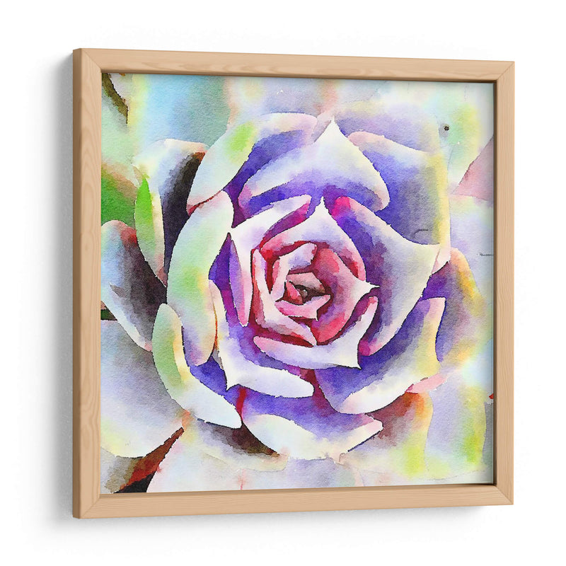 Succulente Ii - Jennifer Paxton Parker | Cuadro decorativo de Canvas Lab