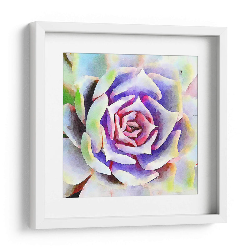 Succulente Ii - Jennifer Paxton Parker | Cuadro decorativo de Canvas Lab