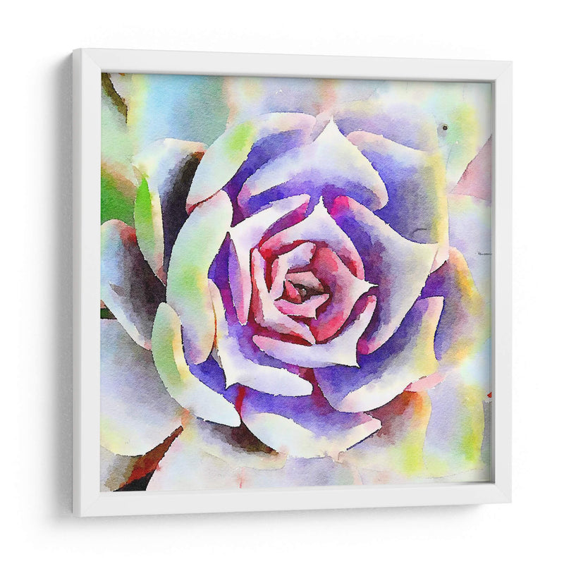 Succulente Ii - Jennifer Paxton Parker | Cuadro decorativo de Canvas Lab