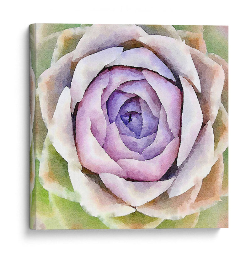 Succulente Iv - Jennifer Paxton Parker | Cuadro decorativo de Canvas Lab