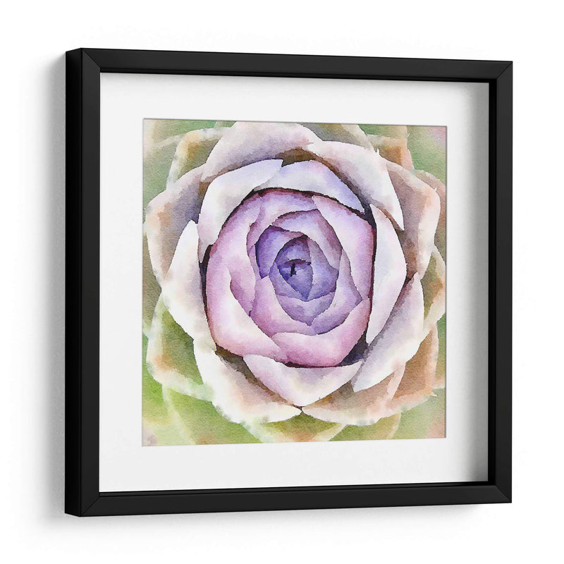 Succulente Iv - Jennifer Paxton Parker | Cuadro decorativo de Canvas Lab