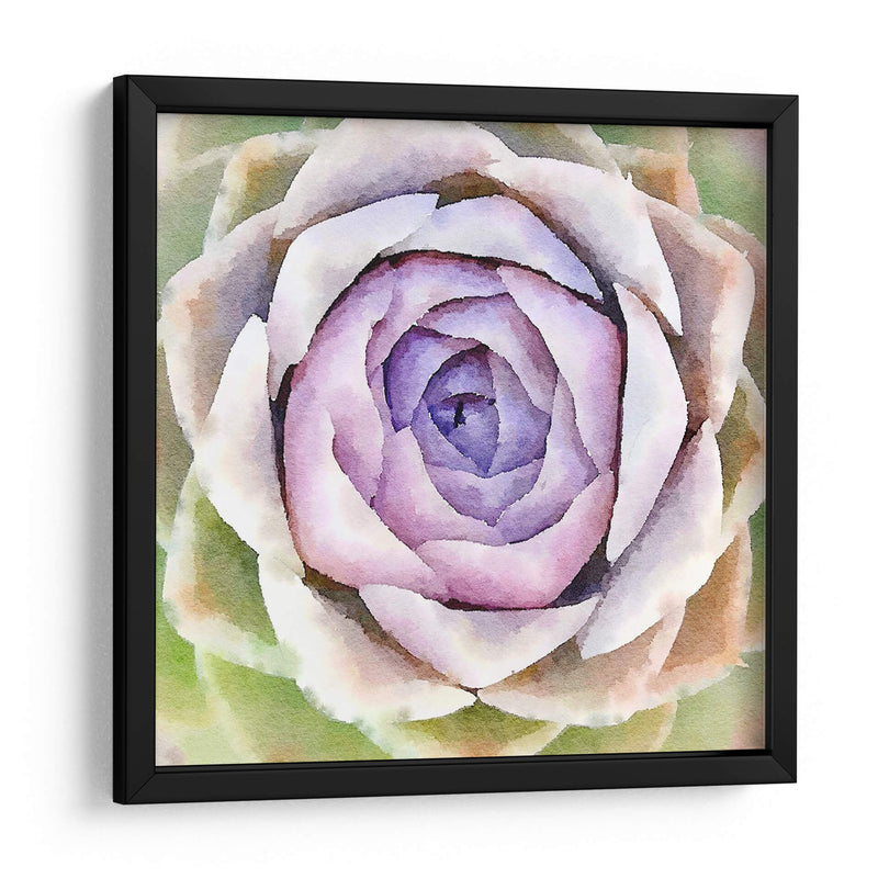 Succulente Iv - Jennifer Paxton Parker | Cuadro decorativo de Canvas Lab