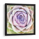 Succulente Iv - Jennifer Paxton Parker | Cuadro decorativo de Canvas Lab
